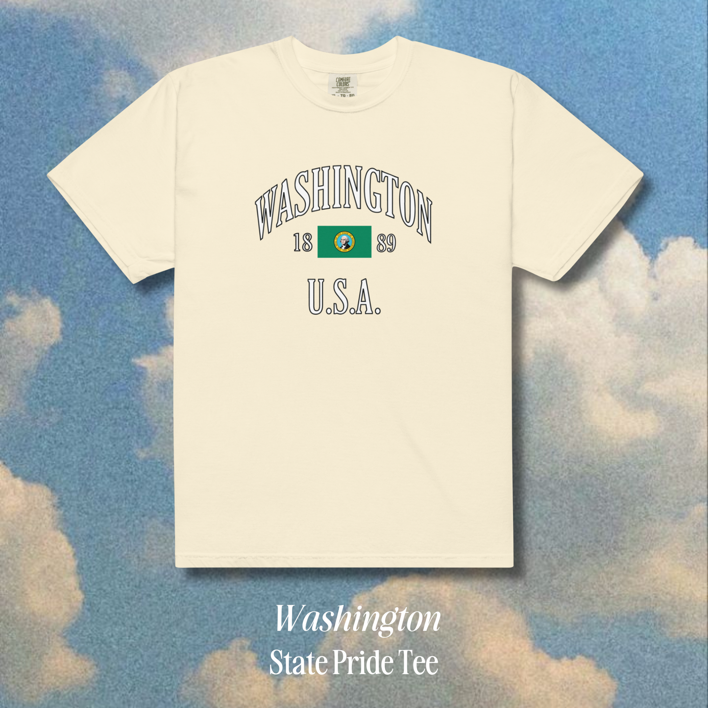 Washington State Pride Tee